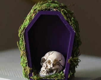 Jumping Spider Coffin Hide with Safe, Non-Toxic Natural Moss – 3D Printed