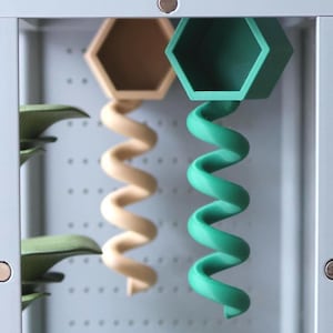 Jumping Spider Hide - Hexagon With Spiral - Available in Multiple Colors