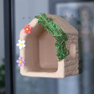 Jumping Spider Hide Hut With Natural Moss and Flower Decorated