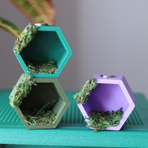 Piel hexagonal para araña saltadora con musgo natural seguro y no tóxico (impresa en 3D)