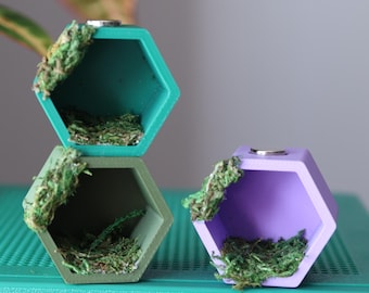 Piel hexagonal para araña saltadora con musgo natural seguro y no tóxico (impresa en 3D)