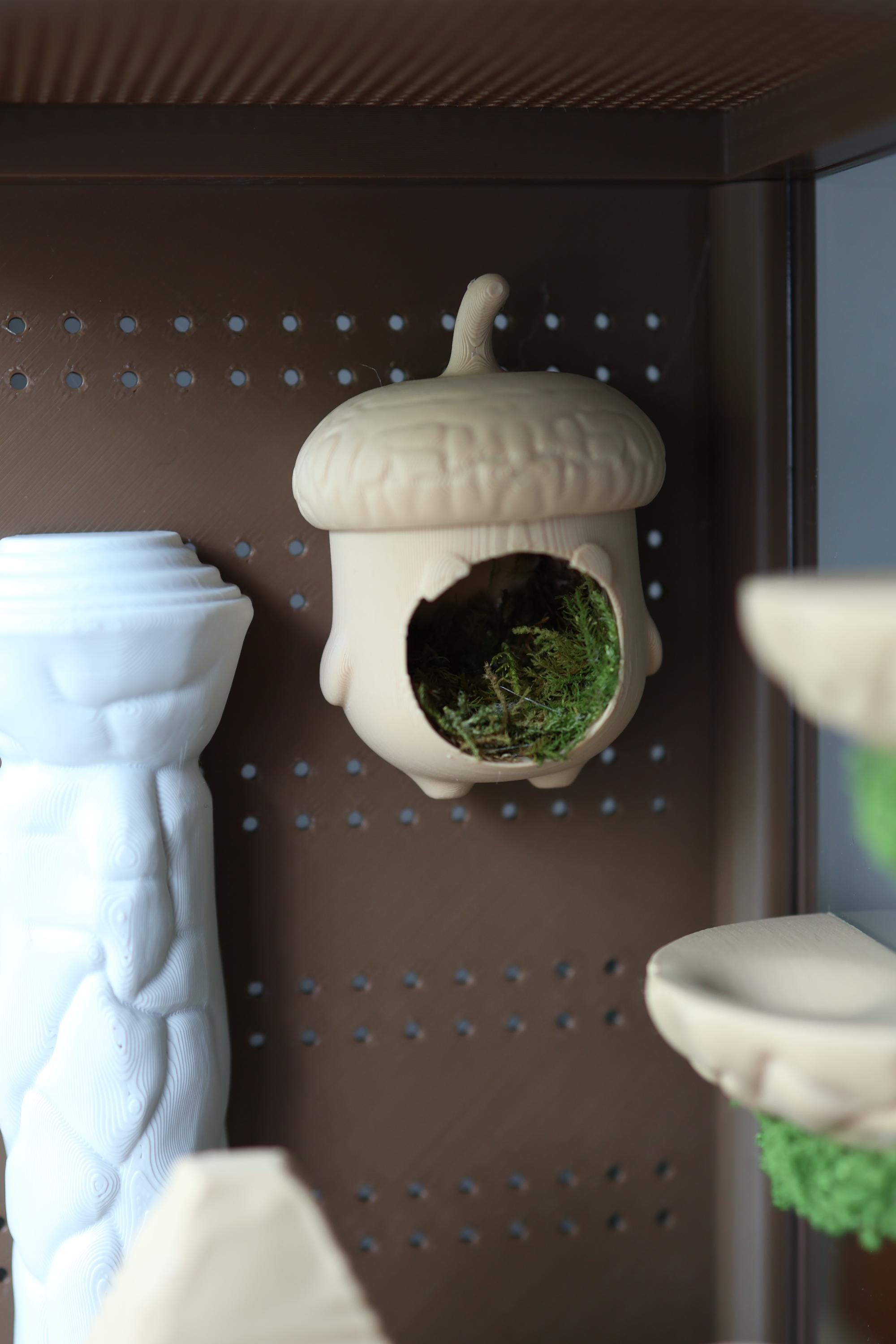 Acorn Jumping Spider Hide With Safe, Non-toxic Natural Moss – 3D