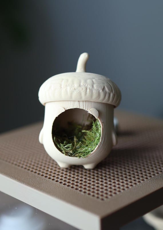 Acorn Jumping Spider Hide With Safe, Non-toxic Natural Moss – 3D