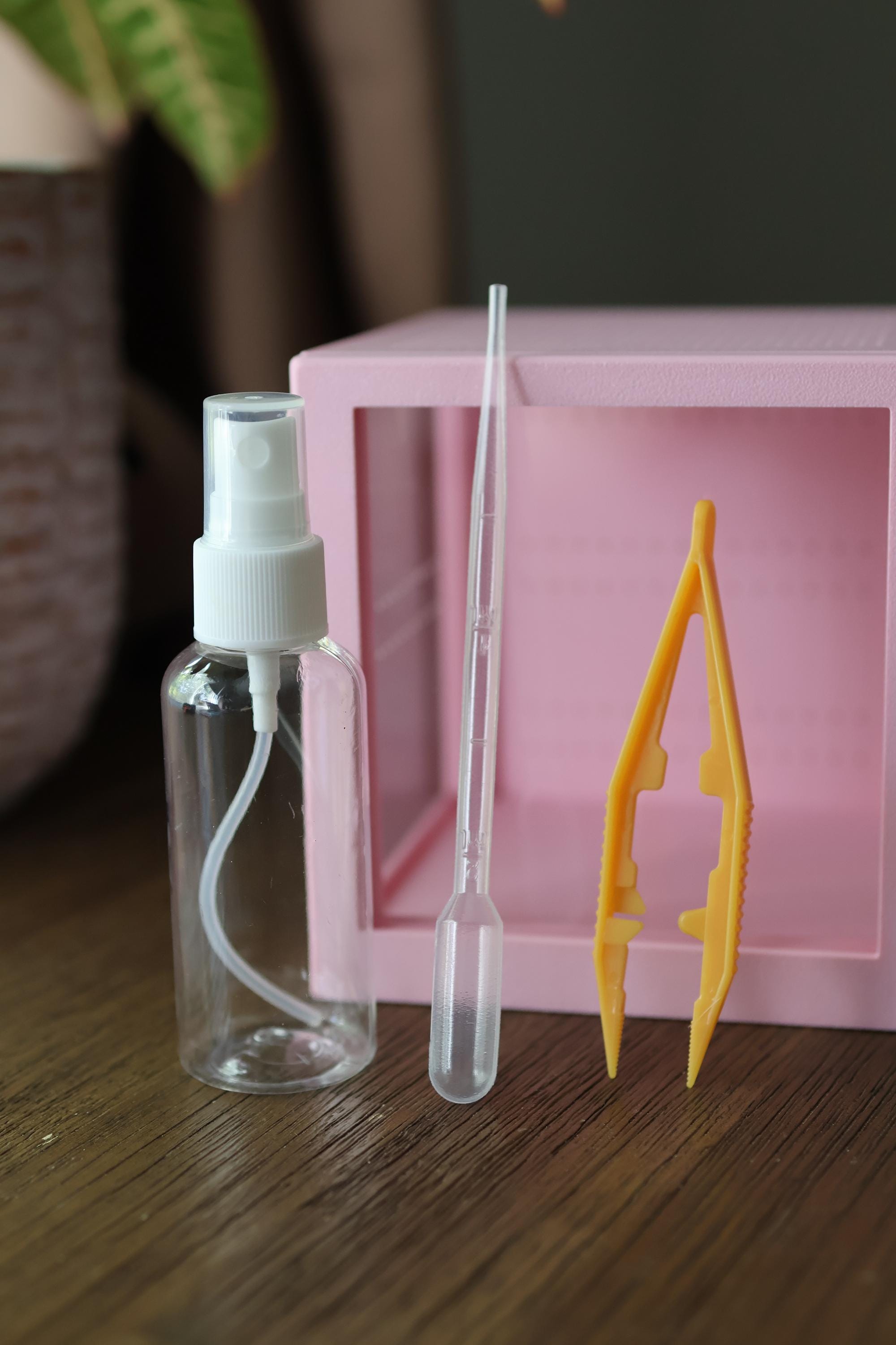 6-teiliges Deko-Set Für Springspinnen-Terrarium - Mit Versteck, Kletterblättern Und Netzen