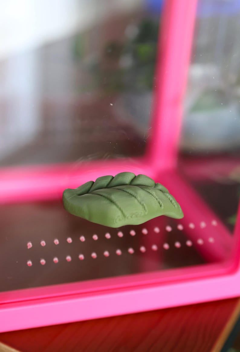 Jumping Spider Leaf-shaped Platform – 3D Printed in Eco-friendly ...