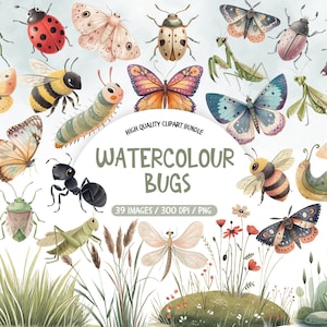 Puede incluir: Ilustración en acuarela de varios insectos, incluyendo mariposas, abejas, mariquitas y escarabajos. La imagen presenta una variedad de insectos en un estilo caprichoso, con el texto "WATERCOLOUR BUGS" y "39 IMAGES / 300 DPI / PNG".