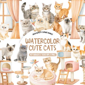 Könnte beinhalten: Aquarell-Illustration verschiedener Katzenrassen, darunter Siamkatzen und Tabby-Katzen. Das Bild zeigt den Text "Watercolor Cute Cats", Katzenbäume und ein Fenster. Das Kunstwerk ist ein hochwertiges Clipart-Bundle.