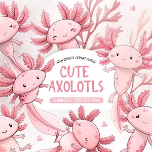 Pink Watercolor Axolotl Clipart, Axolotl Birthday Png Set, Axolotl Collection Digital Download, Axolotl Png Cute, Axolotl Sublimation Png