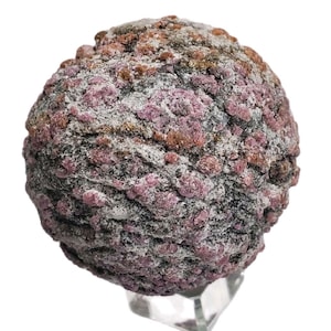 Könnte beinhalten: Eine kugelförmige Gesteinsformation mit rauer, strukturierter Oberfläche. Das Gestein ist überwiegend grau mit Clustern aus kleinen, rosa und rotbraunen Kristallen. Das Exemplar ist auf einem transparenten Ständer montiert, der seine natürliche Schönheit zeigt.