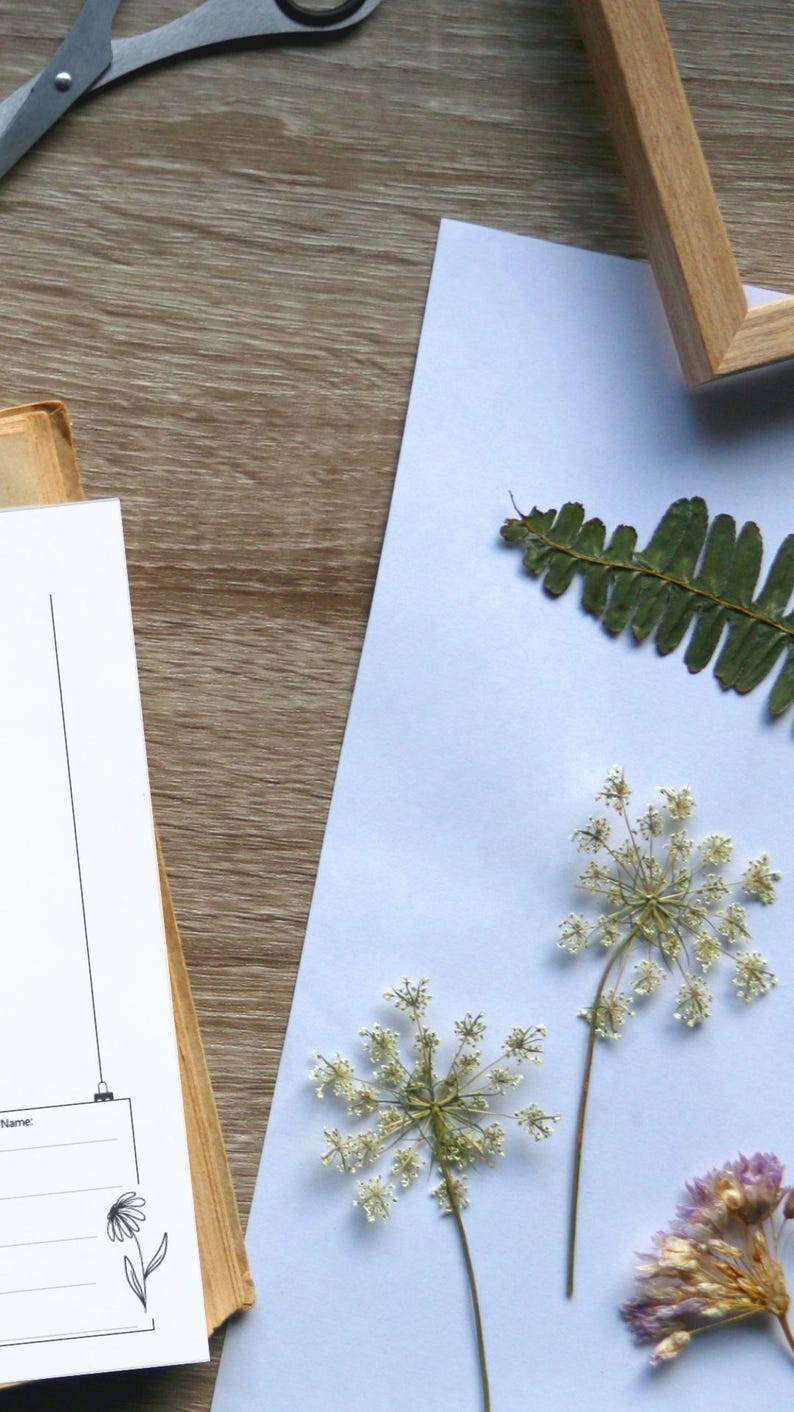 Herbarium Template to Print and Fill Out – DIN A4, PDF …