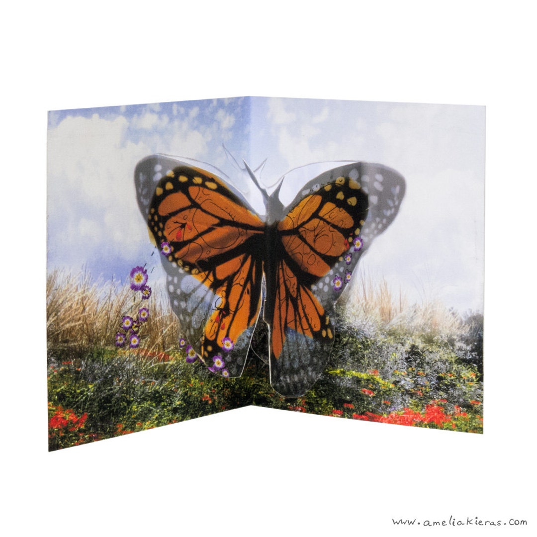 3D Pop up Card - Butterfly Flowers - Etsy