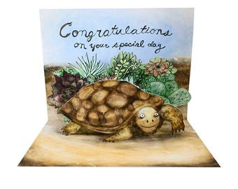 3D Pop Up Card - Desert Tortoise Congratulations