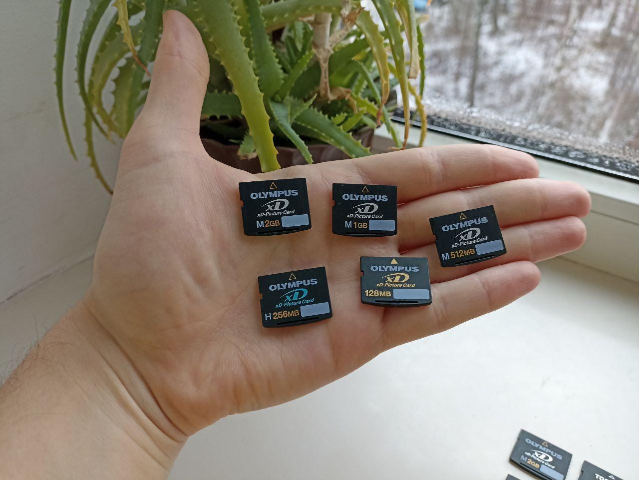 Xd Card - Etsy Xd Card - Etsy