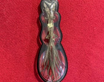 Lucky Twin-Headed 9-Tailed Gecko Amulet | Khmer Wealth Talisman for Prosperity, Fortune & Protection, powerful Khmer talisman