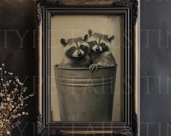 Vintage Raccoon Tintype Print: Rustic Farmhouse Animal Wall Art