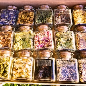 A set of 15 relaxing and organic medicinal plants to create your own evening infusions. Herbalism Kit, Phytotherapy Set