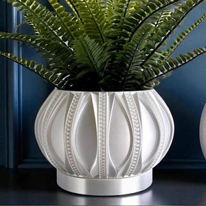May include: A white, decorative planter with a fern plant. The planter has a detailed, textured design and sits on a dark surface. A matching white, lidded jar is to the right. The background is a dark blue wall with a gold-framed mirror.