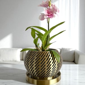 Pot d'orchidée doré, 5 pouces d'ouverture : cache-pot moderne en laiton coloré, imprimé en 3D, avec égouttoir