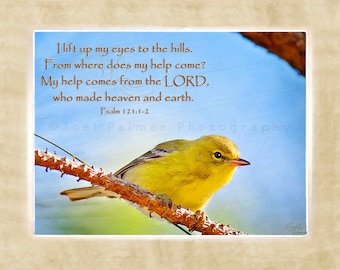 Yellow Bird on Tree Branch Blue Sky Scripture Art Print Bible Verse Quoted from Psalm 121:1-2  Nature Photography