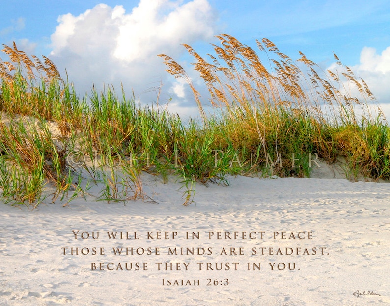 Beach Dunes Coastal Art Bible Scripture Print Isaiah 26 3 A 8x10 Color Photograph Blue Sky Green Plants White Sand