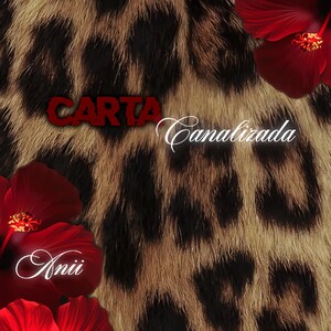 Carta canalizada