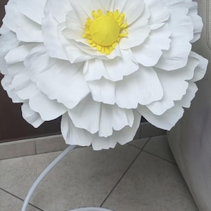 fiori giganti di carta crespa
