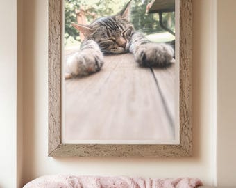 May include: A framed photograph of a tabby cat sleeping on a wooden surface. The cat is lying on its side with its paws outstretched. The background is a blurred image of green trees.