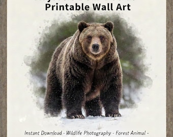 Majestätisches Bärenportrait | Wandkunst | Digitaler Download