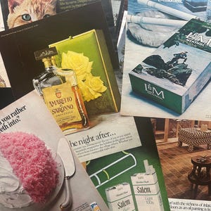 Anúncios vintage e efêmeros - Mais de 50 páginas selecionadas para colagem, diário de lixo e mídia mista