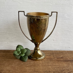 Shop Online The Stunning Etched Trophy With Large Handles & Make A  Statement - Timothy De Clue Collection