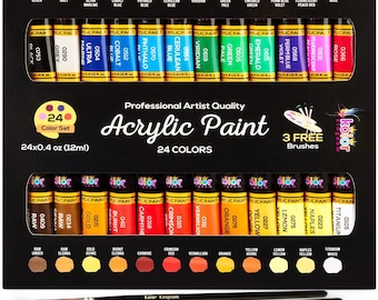 24 Colors Acrylic Paint Set with 3 Brushes for Canvas Wood Rock Fabric Painting