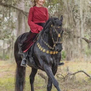 handmade fancy horse bridle with reins and breastplate  pure cowhide leather & brass ornaments very premium quality
