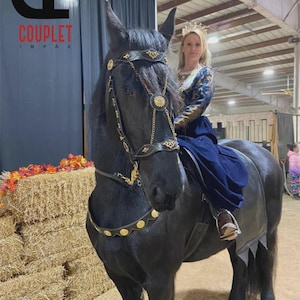 Handmade Cowhide Leather Horse Bridle with Reins & Brass Details