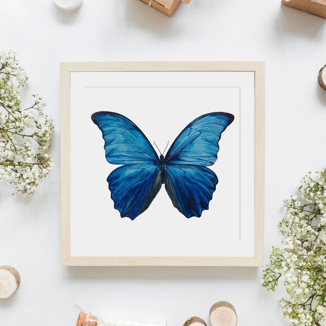 Blue Morpho Didius Butterfly Giclée Print Square basado en pintura de ...