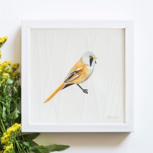 Cincia barbuta / Pittura ad acquerello della fauna selvatica / Opere d'arte originali / Regalo perfetto per gli amanti degli uccelli e della fauna selvatica / Regali per giardinieri / 6" per 6" quadrati