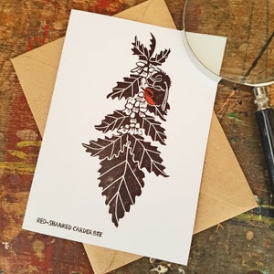 Red-Shanked Carder Bumblebee linocut greeting card. 7x5” recycled. Bumblebee Conservation Trust charity