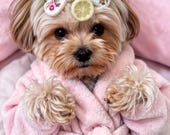 Digital Funny Pet Portraits Personalized | Pet Art | Dogs in Human Poses | Personalized Pet Gift | Funny Pet Art | Custom Pet Portrait