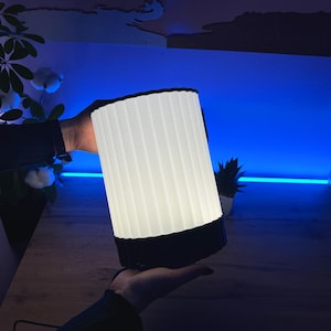 Unique Desk Lamp. A housewarming gift. Bedside Lamp for Aesthetic Home Decor. 3D printed lamp. Night light for the bedroom