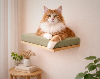 Katzen Wandregal mit Kissen: Skandinavisches Design Katzenbett 50x30 cm