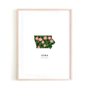 Iowa State Flower art print