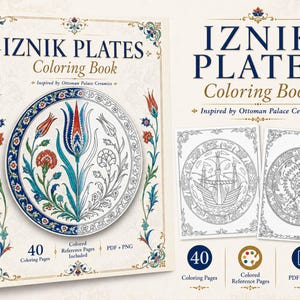 May include: A coloring book titled Iznik Plates Coloring Book Inspired by Ottoman Palace Ceramics. The cover features a circular plate design with blue, red, and green floral motifs. It includes 40 coloring pages, colored reference pages, and PDF plus PNG files.
