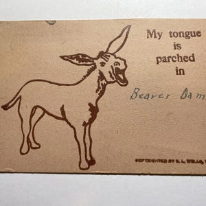 Postcard Postmarked 1907 Beaver Dam Wisconsin