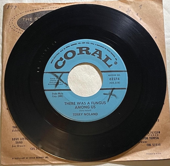 洋楽 TERRY NOLAND (1958 US Original LP) Terry Noland LP: The Original 1956 Demos (LP) - Bear Family Records