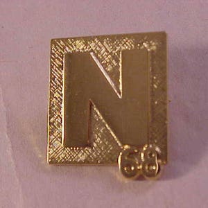1968 Nixon Campaign Lapel Pin