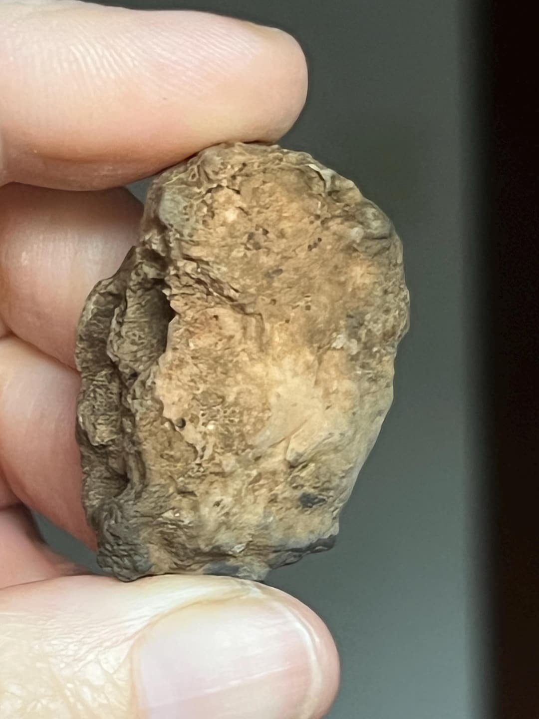 Genuine Moon Rocks Lunar Meteorite,natural Raw Moon Rock - Etsy