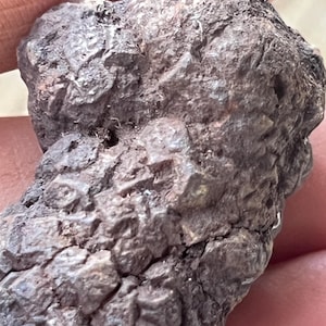 26 g precious lunar meteorite rare find