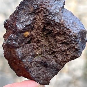 May include: A dark brown, irregularly shaped rock with a rough, textured surface. The rock has a mix of dark and lighter brown hues, with some areas appearing almost black. The rock is held between fingers, showcasing its natural, earthy appearance.