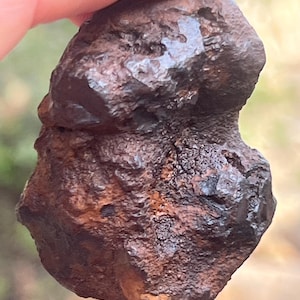 Può includere: Una roccia marrone scuro, di forma irregolare, con una superficie ruvida e strutturata. La roccia presenta un mix di tonalità marroni scure e chiare, con alcune aree che appaiono quasi nere. La forma generale è alquanto arrotondata, con alcuni bordi affilati.