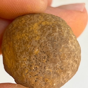 Pode incluir: Uma pequena pedra redonda, castanha, com uma superfície texturizada e pequenas manchas escuras. A pedra é segurada entre dois dedos. A pedra tem uma aparência manchada com áreas amarelas e castanhas.