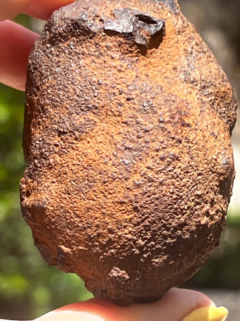 Rare Rocks Colorful Genuine Raw Meteorite With Certificate of Authenticity – Rare Asteroid ...